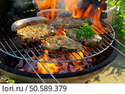 Grillen - barbecue 88. Стоковое фото, агентство Ingram Publishing / Фотобанк Лори