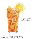 Hand drawn watercolor illustration of summer Ice Tea with lemon. Isolated on the white background. Cocktail watercolor illustration. Стоковое фото, агентство Ingram Publishing / Фотобанк Лори