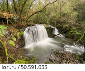 A powerful waterfall rushes over rocks, creating a dynamic scene near Cascata do Outeiro. A wooden walkway offers a vantage point to admire the cascading water and lush forest surroundings in Oliveira de Azemeis. Стоковое фото, агентство Ingram Publishing / Фотобанк Лори