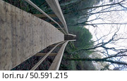 A wooden walkway ascends into a forest near Cascata do Outeiro, inviting exploration of the natural surroundings in Oliveira de Azemeis Portugal. Стоковое фото, агентство Ingram Publishing / Фотобанк Лори