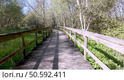 Curving wooden walkway through Parque das Ribeiras, sunlight dappling the path, bordered by green meadows and trees under a bright sky. Стоковое фото, агентство Ingram Publishing / Фотобанк Лори