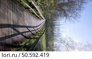 Curving wooden walkway extends through Parque das Ribeiras, casting long shadows under a bright sky, surrounded by trees and lush greenery. Стоковое фото, агентство Ingram Publishing / Фотобанк Лори