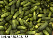Pickles at farmer's market. Стоковое фото, агентство Ingram Publishing / Фотобанк Лори