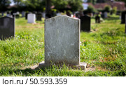 Blank gravestone with other graves in the background. Стоковое фото, агентство Ingram Publishing / Фотобанк Лори