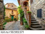 The picturesque village of Montefioralle, near Greve in Chianti, on a sunny summer day. Province of Florence, Tuscany, Italy. Стоковое фото, агентство Ingram Publishing / Фотобанк Лори