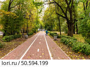 Autumn landscape of the alley in the Lenin Park in Vyborg. Редакционное фото, фотограф Владимир Ушаров / Фотобанк Лори