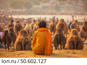 Camel herder watching his dromedary caravan at pushkar fair in rajasthan, india. Стоковое AI-изображение, AI-художник Иван Рябоконь / Фотобанк Лори