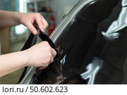 Tinting of car windows.Window film for car. Стоковое фото, фотограф Александр Поташев / Фотобанк Лори