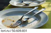 Empty dirty plates with spoon and forks on the table with a bright tablecloth, sunny summer day. Стоковое AI-видео, аниматор Sergey Grishin / Фотобанк Лори