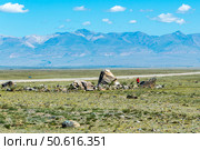 The ancient Tarkhatinsky megalithic stone complex in the Chuya steppe. Kosh-Agachsky district of Gorny Altai. Стоковое фото, фотограф Евгений Мухортов / Фотобанк Лори
