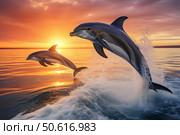 Dolphins jumping during beautiful orange sunset over ocean. Стоковое AI-изображение, AI-художник Иван Рябоконь / Фотобанк Лори