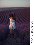 Lavender Field Girl Bouquet Evening Harvesting Flowers Peacefully. Стоковое фото, фотограф svetograph / Фотобанк Лори