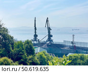Приморский край. Находка. Портальные краны на территории угольного терминала морского торгового порта. Стоковое фото, фотограф Овчинникова Ирина / Фотобанк Лори