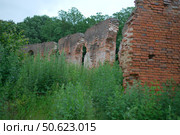 Усадьба П.В. Завадовского. Редакционное фото, фотограф Станислав Смельчук / Фотобанк Лори