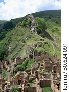 Гамсутль. Стоковое фото, фотограф Татьяна Иваничкина / Фотобанк Лори
