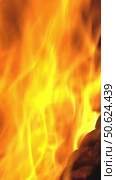 Burning fire, firewood coal closeup. Стоковое видео, видеограф Михаил Коханчиков / Фотобанк Лори
