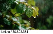 Raindrops on Green Leaves. Стоковое AI-изображение, AI-художник Кирилл Черезов / Фотобанк Лори