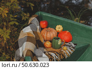 Осенний пикник в лодке с чаем и булкой. Стоковое фото, фотограф Анна Ушакова / Фотобанк Лори