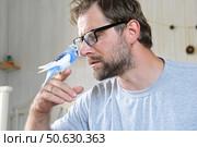Budgerigar playing with handsome man. Budgie. Funny blue purple parakeet sitting on owner head. Cute violet tamed bird having fun with people. Friendship, relationship with Pets. Cute domestic animals. Стоковое фото, фотограф Марина Демидюк / Фотобанк Лори