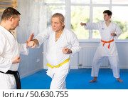 Senior man in kimono honing punching techniques during training sparring. Стоковое фото, фотограф Яков Филимонов / Фотобанк Лори