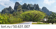 Landscapes of famous places in Thailand - Panorama combining mountains, rainforest and an unusual green tree by the road - entrance to Khao Sok National Park. Стоковое фото, фотограф Владимир Разгуляев / Фотобанк Лори