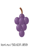 Grapes bunch, on white background, fresh, juicy, vibrant design, purple colors, fruit concept. Стоковое AI-изображение, AI-художник Елена Скрипкина / Фотобанк Лори