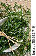 Salicornia is a genus of succulent, salt tolerant, salt substitute. Редакционное фото, фотограф Лика / Фотобанк Лори