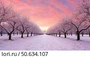 dusk trees in snow ai generated. Стоковое AI-изображение, AI-художник Vectorwin / Фотобанк Лори