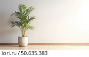 photograph palm plant in pot ai generated. Стоковое AI-изображение, AI-художник Vectorwin / Фотобанк Лори