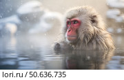 japan snow monkey ai generated. Стоковое AI-изображение, AI-художник Vectorwin / Фотобанк Лори