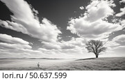 sky cowboy black and white ai generated. Стоковое AI-изображение, AI-художник Vectorwin / Фотобанк Лори