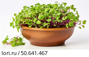 wooden microgreen white background ai generated. Стоковое AI-изображение, AI-художник Vectorwin / Фотобанк Лори