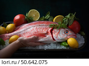 Chef holding fresh red snapper on ice with tomatoes, lemons, and basil. Стоковое AI-изображение, AI-художник Иван Рябоконь / Фотобанк Лори