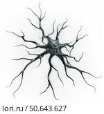 3d rendered neuron transmitting signals in the brain. Стоковое AI-изображение, AI-художник Иван Рябоконь / Фотобанк Лори