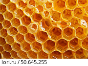 Golden honeycomb dripping with fresh, sweet honey close up. Стоковое AI-изображение, AI-художник Иван Рябоконь / Фотобанк Лори