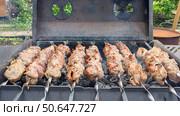 Шашлык. Мясо. Еда. Кухня. Стоковое фото, фотограф Владимир Зыбин / Фотобанк Лори