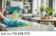 Cleaning Kitchen Surfaces Using Spray and Cloth for a Fresh and Tidy Home Environment. Стоковое AI-видео, аниматор Юлия Гапеенко / Фотобанк Лори