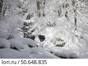 Сочи, Красная Поляна. Зимний лес и водопад Кейва в снегу. Стоковое фото, фотограф Иван Аборнев / Фотобанк Лори