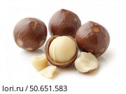 Macadamia nuts showing shelled and whole nuts on white background. Стоковое AI-изображение, AI-художник Иван Рябоконь / Фотобанк Лори