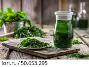 Freshly harvested kelp seaweed showing healthy superfood concept. Стоковое AI-изображение, AI-художник Иван Рябоконь / Фотобанк Лори