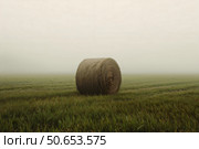 A single, perfectly round bale of hay, about 5-6 feet in diameter, located in the center of a vast, lush green field, shrouded in a thick, eerie fog., Стоковое AI-изображение, AI-художник Александр Поташев / Фотобанк Лори