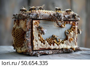 Bees crawling on a rustic honeycomb hive displaying golden nectar. Стоковое AI-изображение, AI-художник Иван Рябоконь / Фотобанк Лори