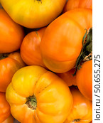 Close-Up of Vibrant Orange and Yellow Heirloom Tomatoes. Стоковое фото, фотограф Ольга Губская / Фотобанк Лори