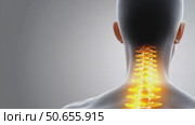 The cervical spine highlighted in orange on a human figure from behind. Concept of neck pain. Стоковое AI-видео, аниматор Екатерина Усенко / Фотобанк Лори