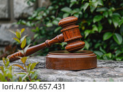 Wooden gavel resting on stone surface with green foliage background symbolizing justice. Стоковое AI-изображение, AI-художник Иван Рябоконь / Фотобанк Лори