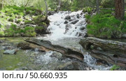 A small waterfall cascades over a textured log in a serene forest setting. Lush green grass surrounds the bank, enhancing the tranquil atmosphere of this forest stream. Стоковое видео, видеограф Зворыгина Елена / Фотобанк Лори