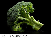 Fresh wet broccoli florets dripping water on black background. Стоковое AI-изображение, AI-художник Иван Рябоконь / Фотобанк Лори
