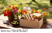 picnic boxed lunches ai generated. Стоковое AI-изображение, AI-художник Vectorwin / Фотобанк Лори