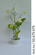 Vertical video of beautiful flower arrangement of yellow columbine, white bells and green hosta leaves on kenzan holder on white background. Floral design as hobby and pleasure. Стоковое видео, видеограф Виктория Катьянова / Фотобанк Лори