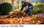 mulching recycle leaf ai generated. Стоковое AI-изображение, AI-художник Vectorwin / Фотобанк Лори
